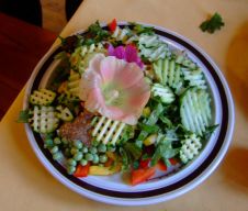 2013-08-13 Salat-Teller 